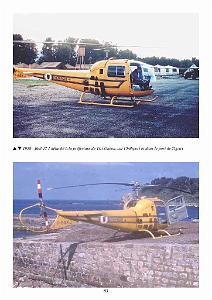 611 GYRAFRIQUE_000087